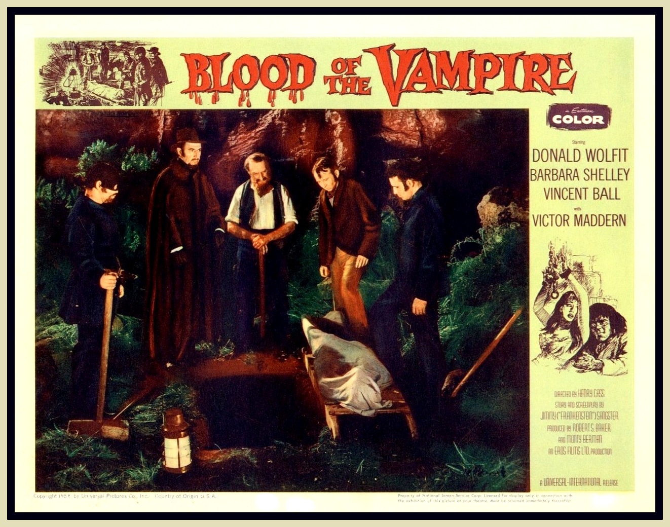 BARBARA SHELLEY: BLOOD OF THE V...